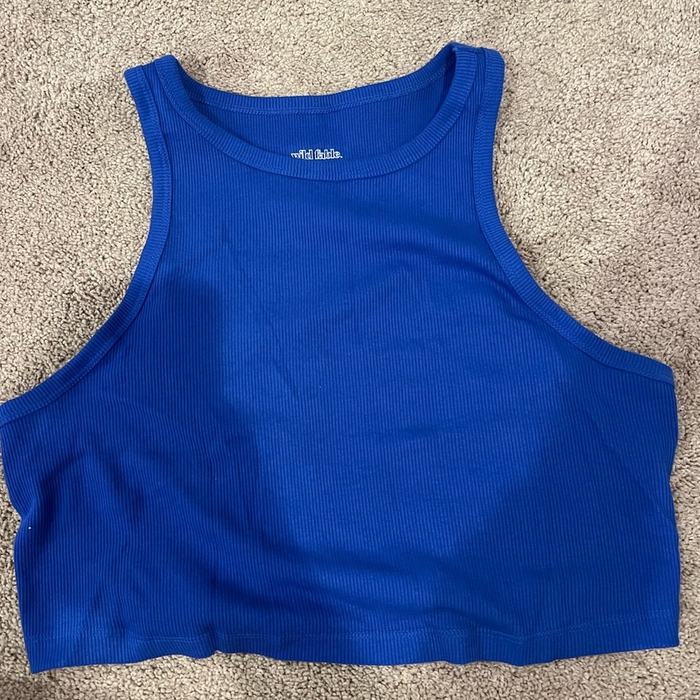 Wild fable blue top
